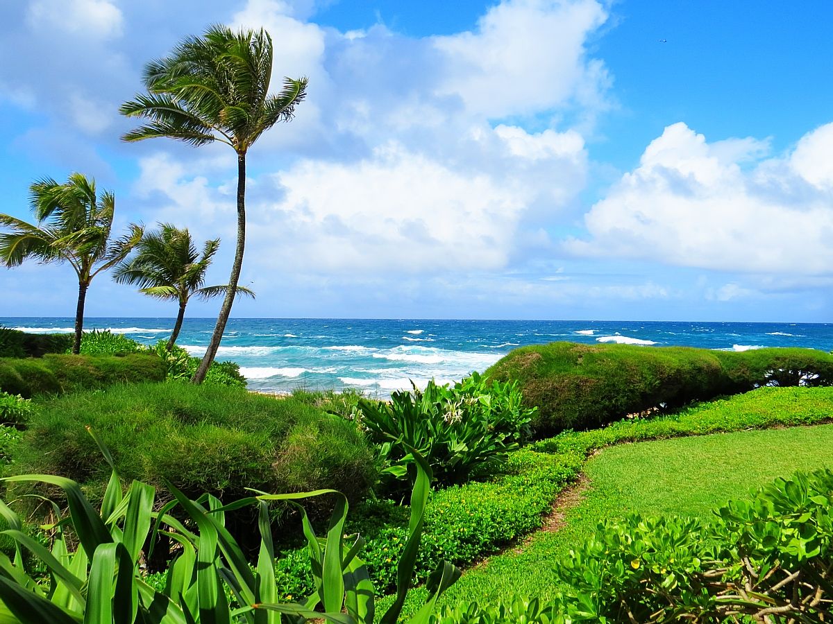 Where To Stay In Kauai: Hanalei Colony Resort