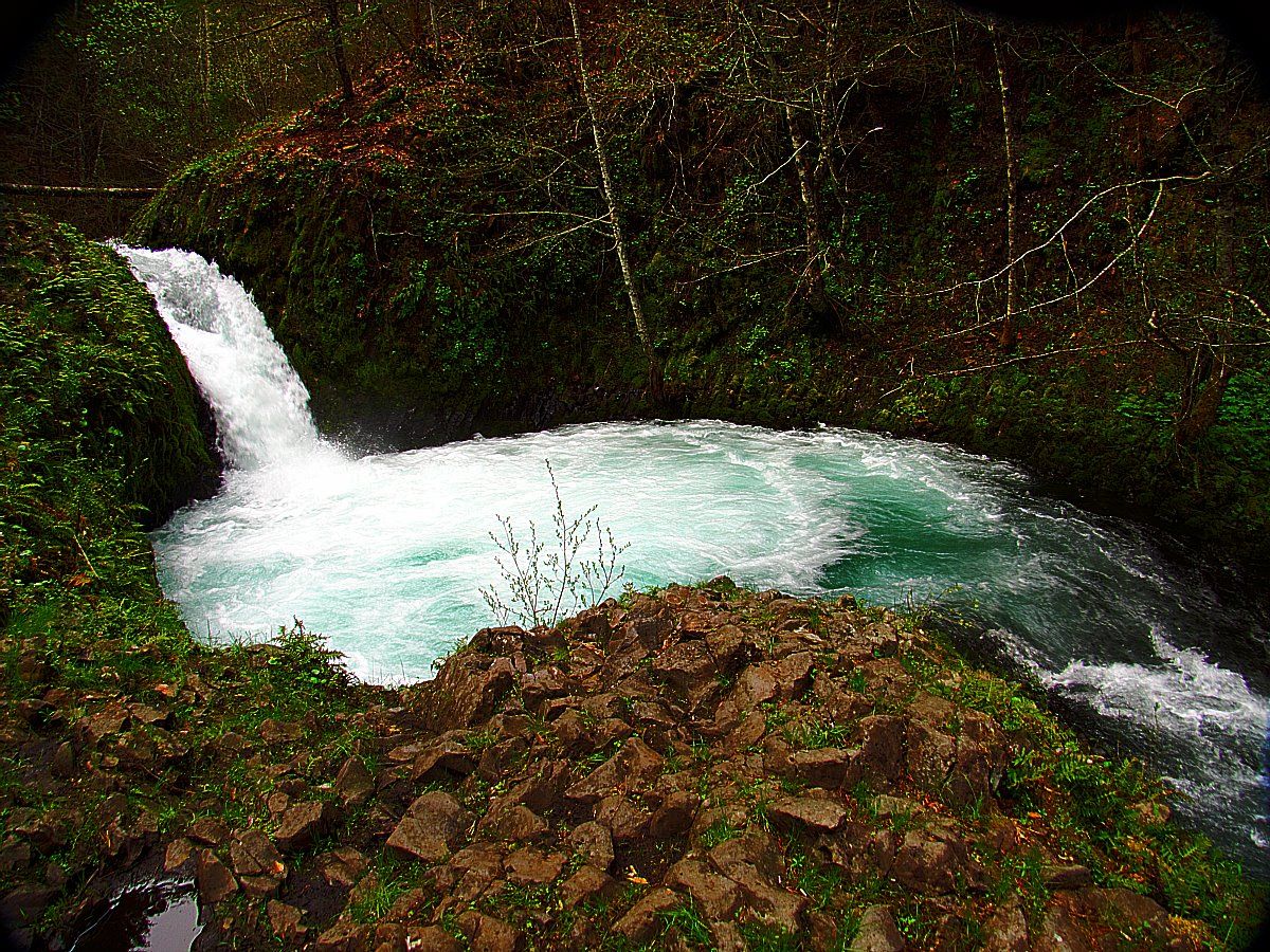Washington Hikes Buck Creek Falls This Way To ParadiseBeaches