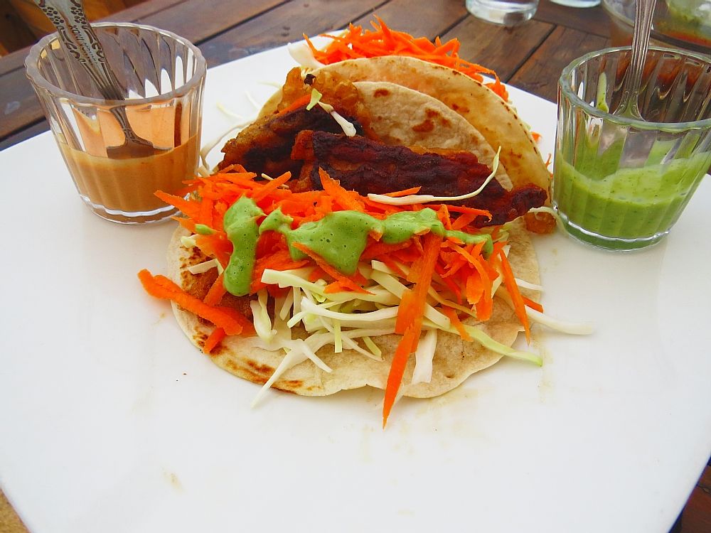 Zipolite: Your Complete Travel Guide fish tacos