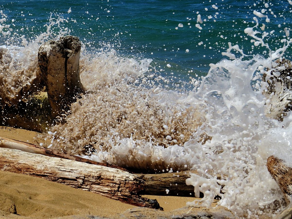 This Kauai Bike Path Will Show You Some Of The Best Views In Hawaii